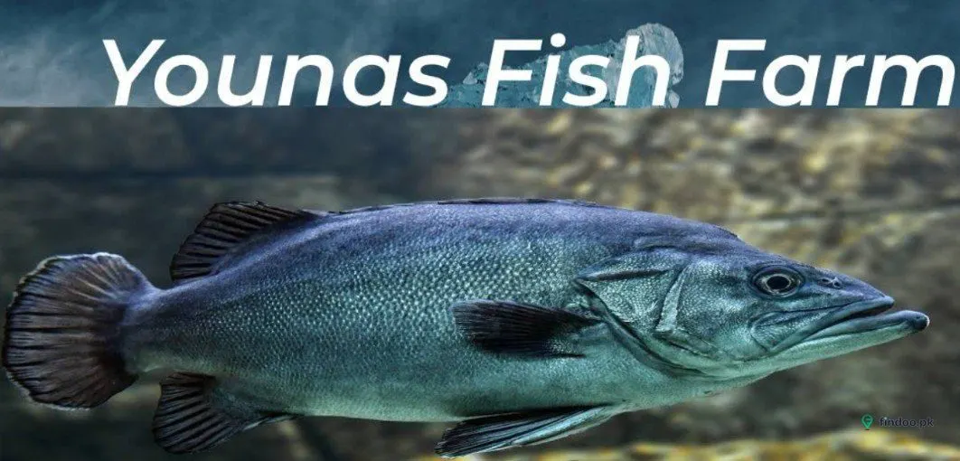 Younas Fish Farm